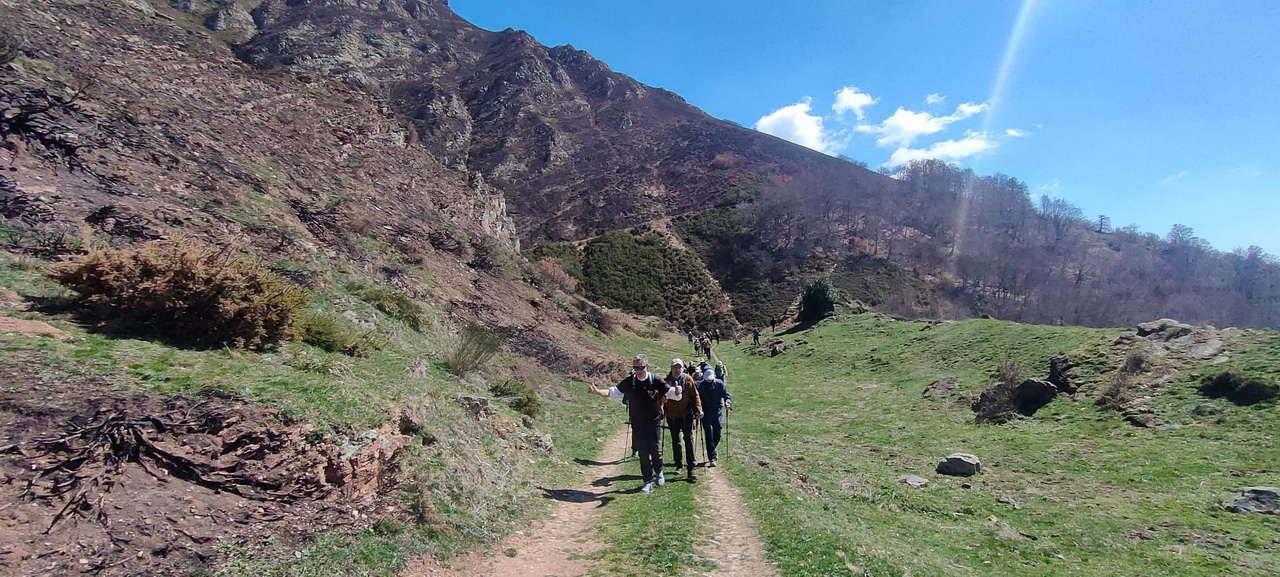 WhatsApp Image 2026-03-23 at 08.14.06